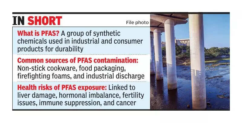 Metrowater says it can’t remove forever chemicals from lakes