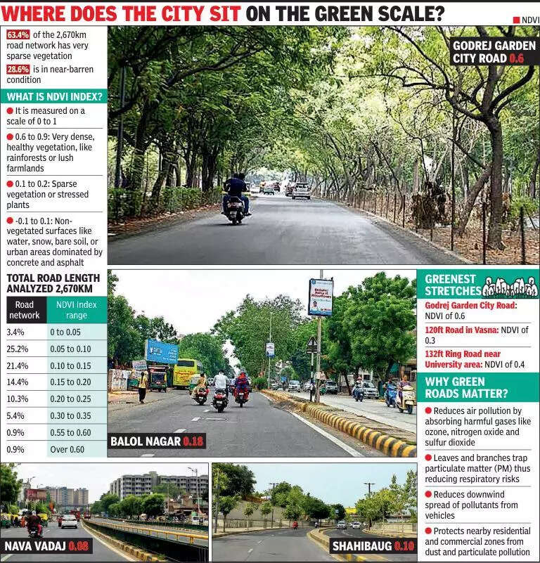 Bare truth: 63% of city’s roads lack green cover, satellite study reveals