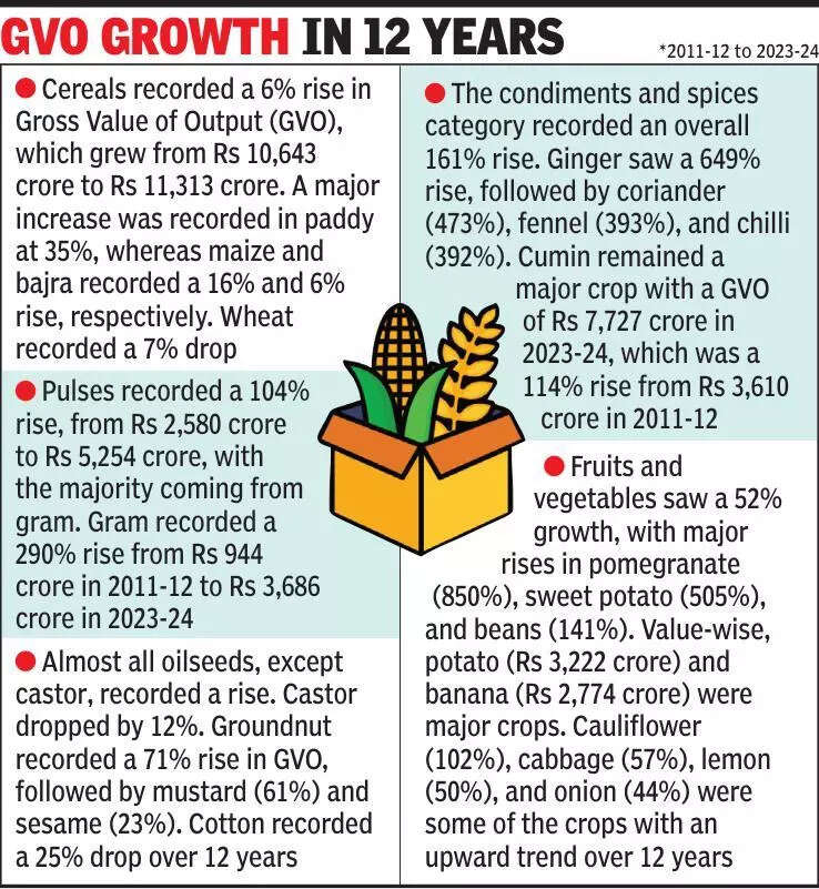 Gujarat second in oilseeds production, third in spices