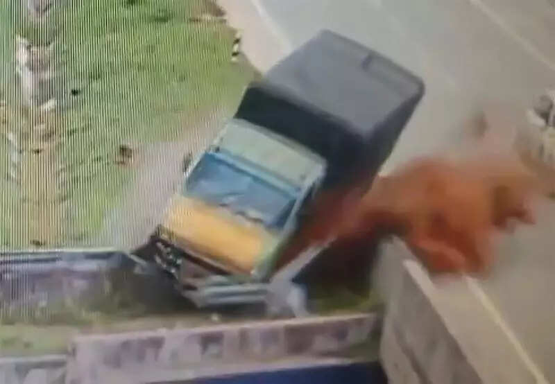 Drunk vandals damage 18 vehicles in Bengaluru