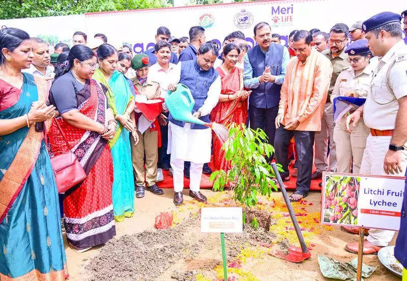 Govt plan to create 10 lakh green livelihoods