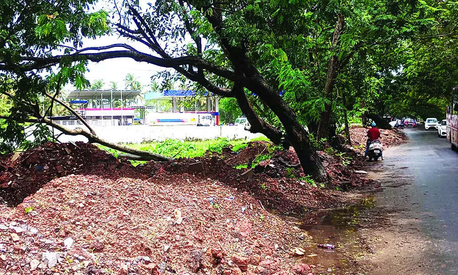 No permission to cut trees for road work: Calangute locals