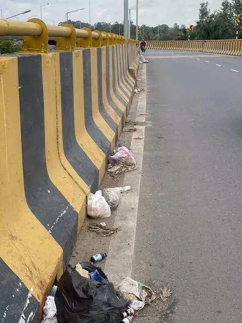 Garbage piles up on Bengaluru double-deckerflyover but none takes responsibility
