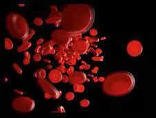 HEAD: 07_Che_PN_nutrition report - planning