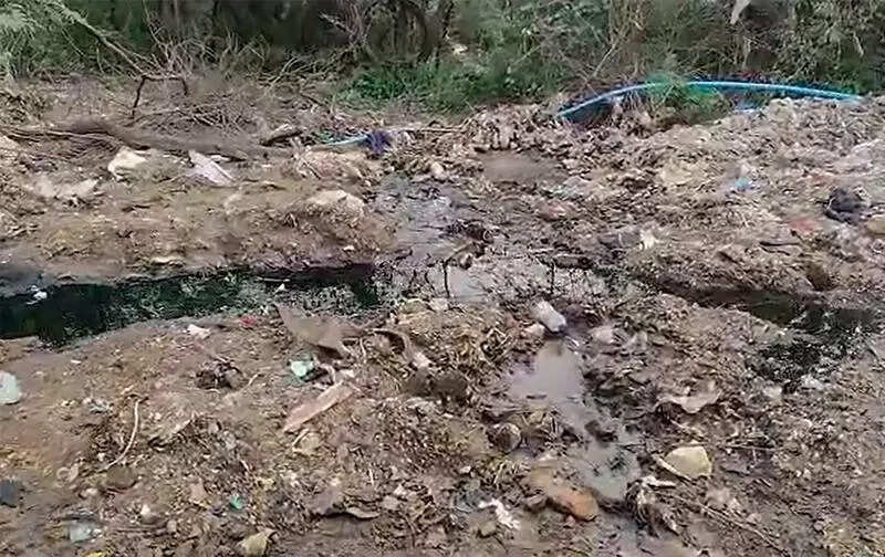Leachate from Bandhwari spills into Aravalis, forms toxic puddles