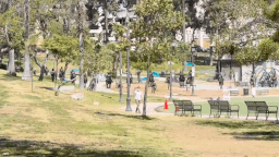 On horseback, heavily armed: Feds storm LA’s MacArthur Park, find it empty