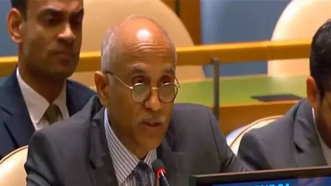 ‘Business-like approach unlikely to succeed’: India cautions UNGA over Afghanistan; abstains on draft resolution