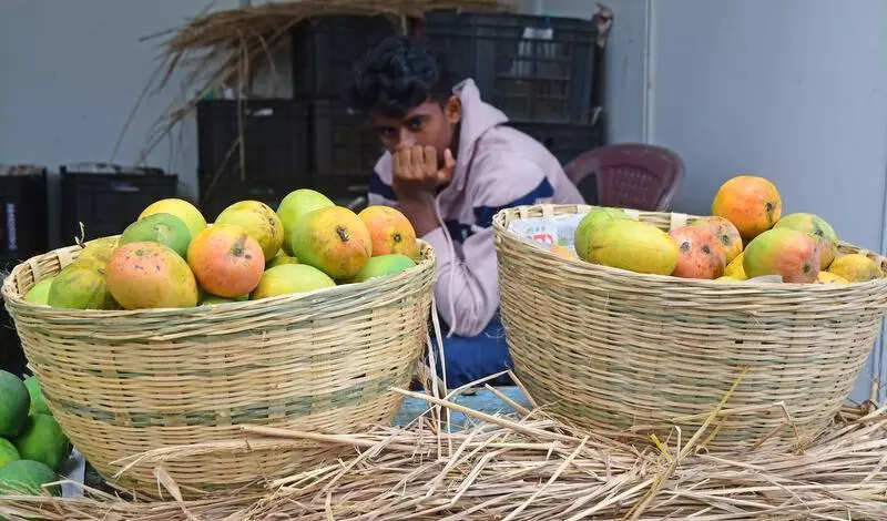 Govt’s MSP for mangoes a rotten deal for growers