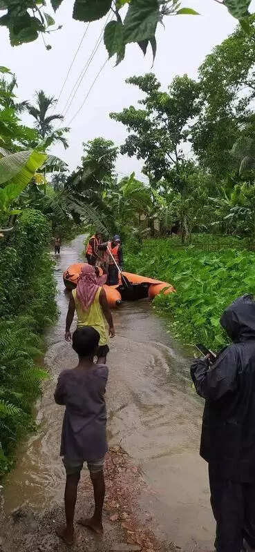 Heavy rain in Nagaland triggers flood in Golaghat after Dhansiri swells