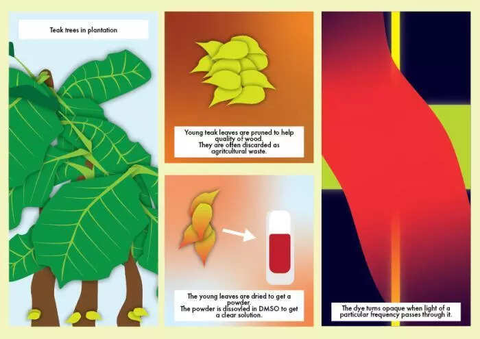 Scientists find way to use teak leaves to protect human eyes from radiation
