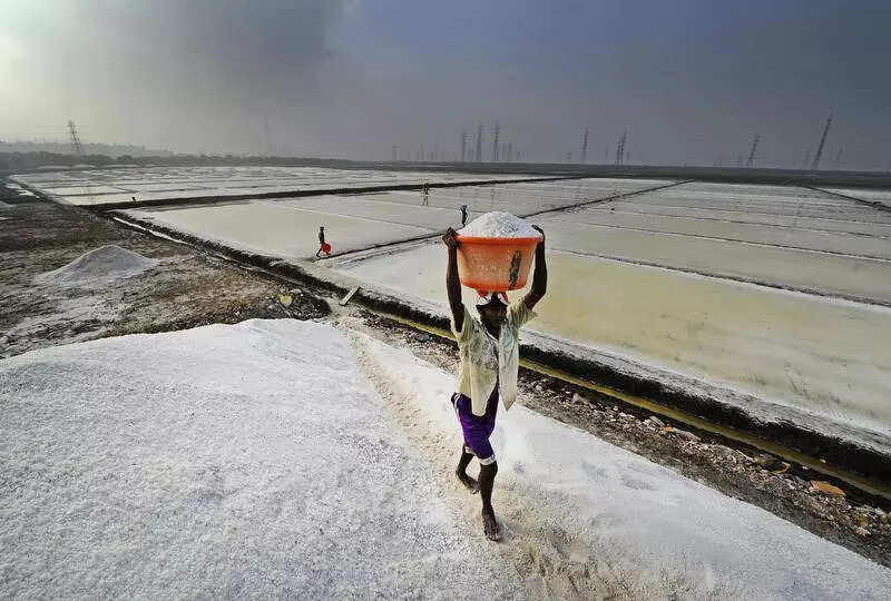 Gujarat government trying to resolve salt pan workers’ issues: Minister