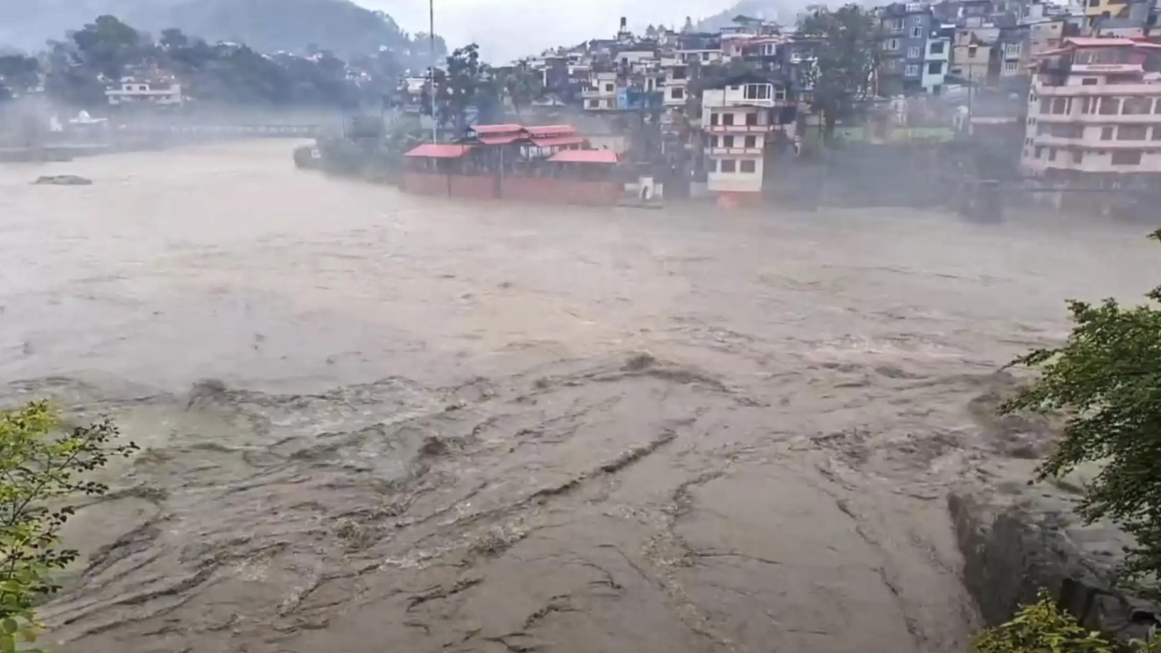 How a dog saved a village in Mandi amid flash floods