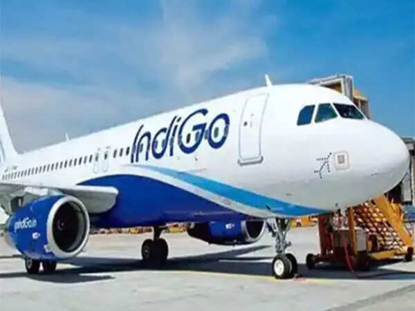 Mid-air scare: Delhi-bound IndiGo flight hit by bird; makes emergency landing in Patna