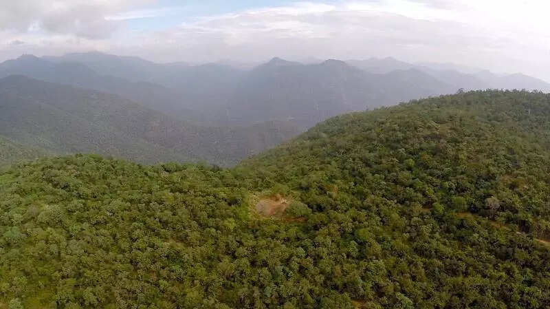 Carbofuran used to poison MM Hills tigers, probe reveals