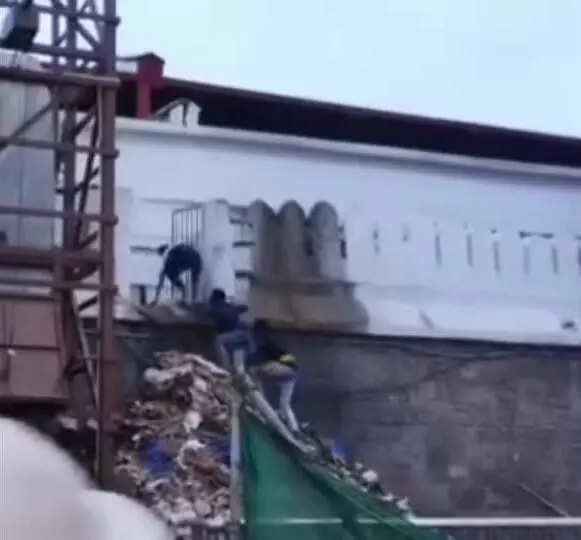4 men climb into Puri temple by scaling outer wall