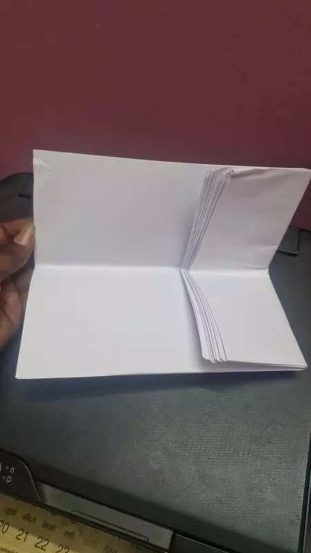 After 5 yrs, blank sheets sent to RTI query