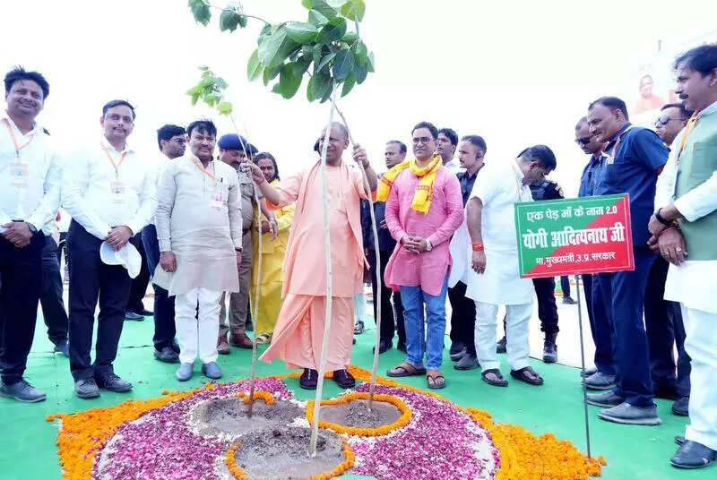 UP has moved from heat wave to green wave in 8 years: Yogi