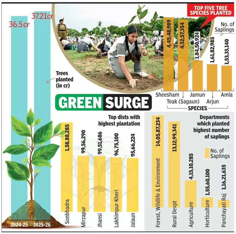 UP again sows a green feat with 37.21cr saplings in a day