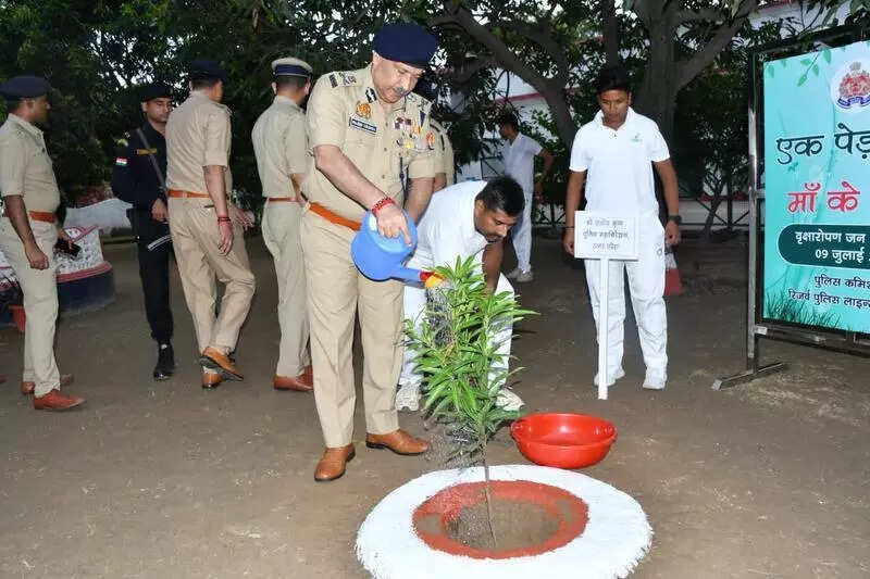 Plantation drive honour mothers, increase green cover: DGP