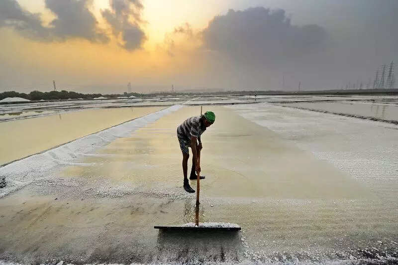 Bombay high court dismisses PIL against use of salt pan land for Dharavi rehab