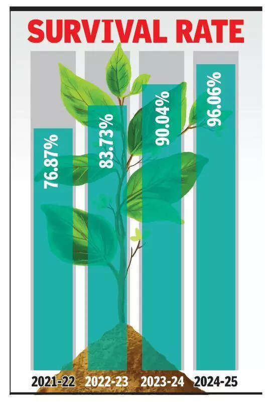 86.67% survival rate of plants since 2020-2021: Report