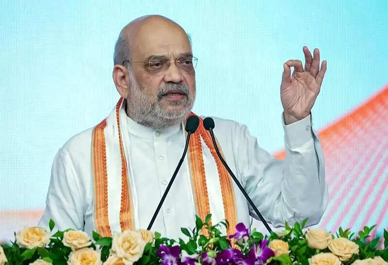 Work with neighbours to check pollution in Yamuna: Shah to Delhi