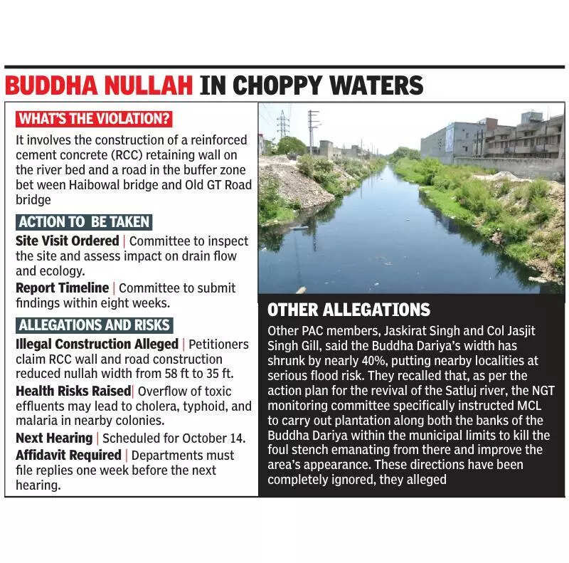 NGT forms committee to probe construction and narrowing of Buddha Nullah