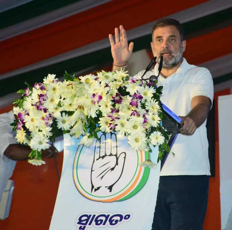 Rath deliberately stalled to help Adanis pull chariots, says Rahul; he has a habit of lying: BJP