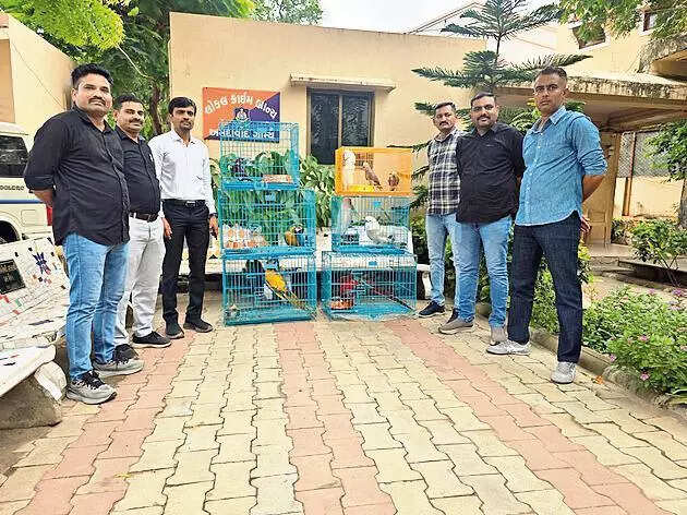 Man steals exotic birds worth Rs 16 lakh to fund marriage, caught by Ahmedabad police