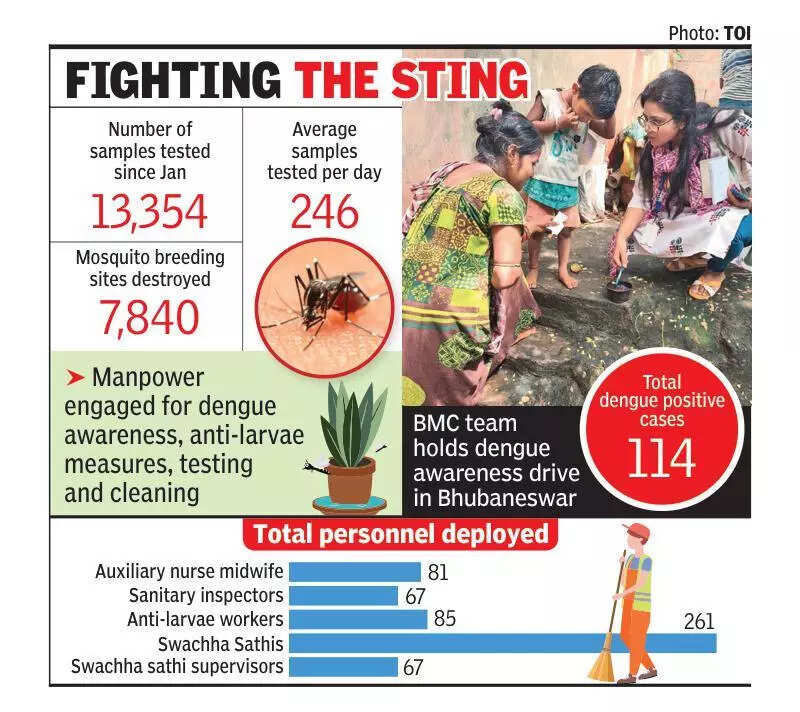 BMC focus on destroying mosquito breeding sources, dengue awareness