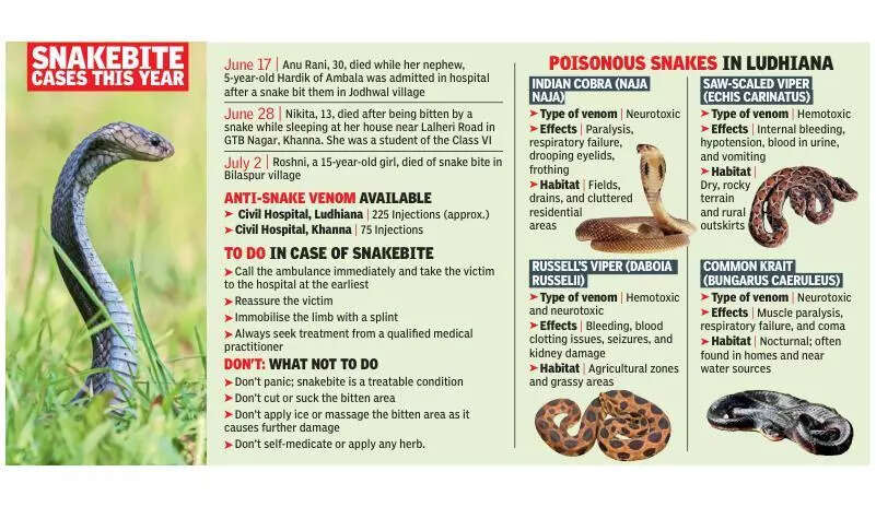 Fangs & figures: June comes with snakebite spike