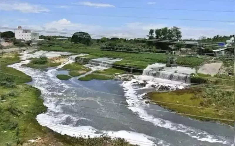 With help from tech institutes, UP to revive 75 small rivers