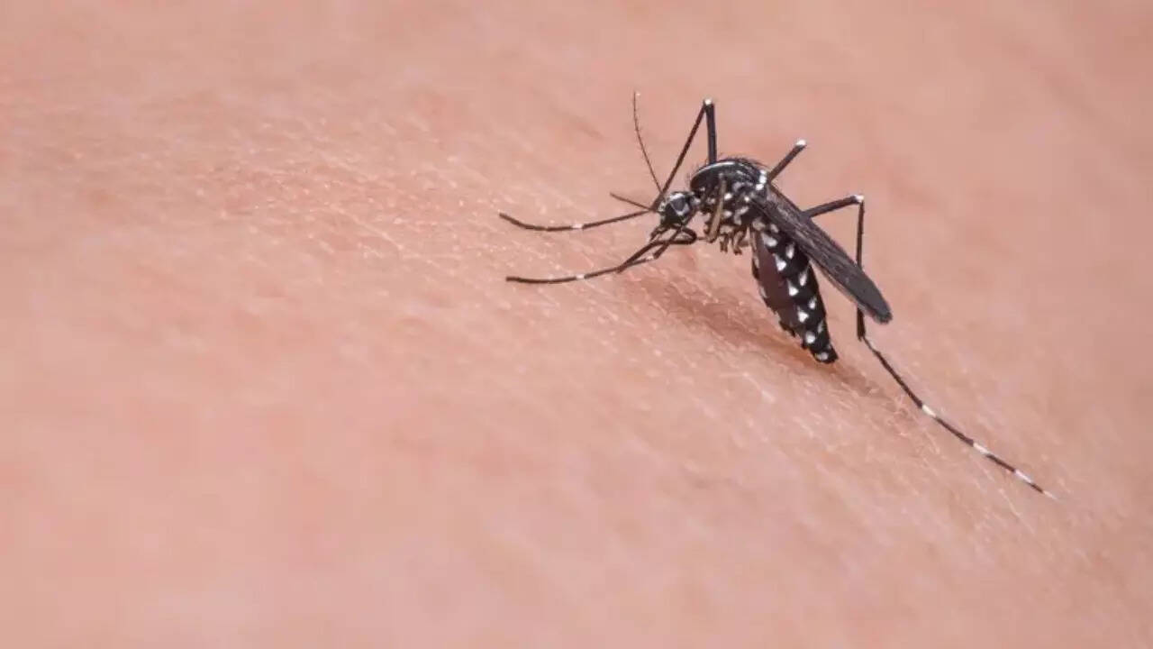 West Nile Virus (1)