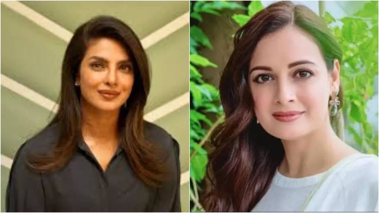 PC responds to Dia's praise for her role in Heads of State