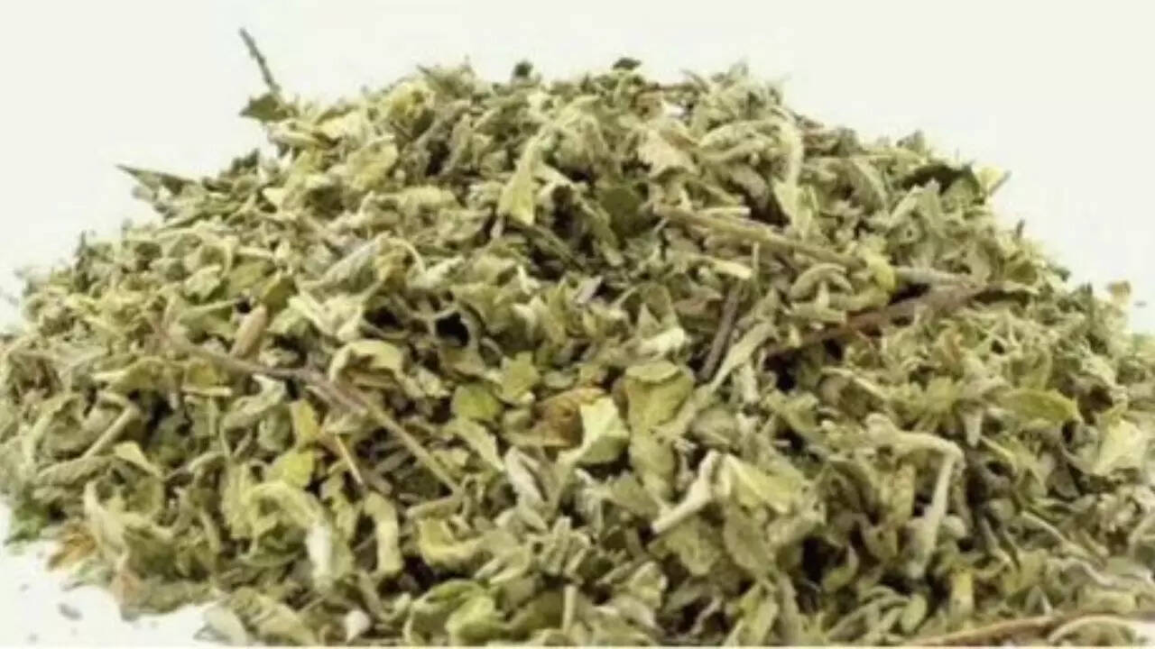 Spice is a synthetic drug that mimics the effects of cannabis
