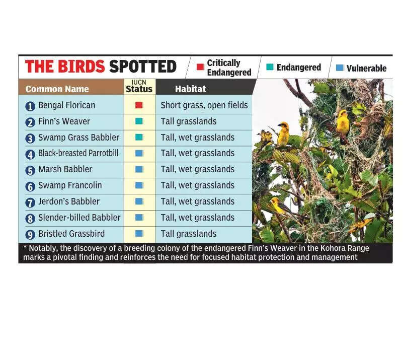 43 species make Kaziranga leading grassland bird habitat
