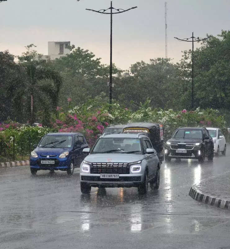 IMD forecasts heavy rain till July 19; issues red alert for Mayurbhanj, Keonjhar & Sundargarh dists