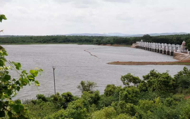 Expected rains in the ensuing days will help in filling up lakes, tanks, and ponds