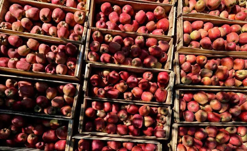 Imported, exotic fruits flood supermarkets