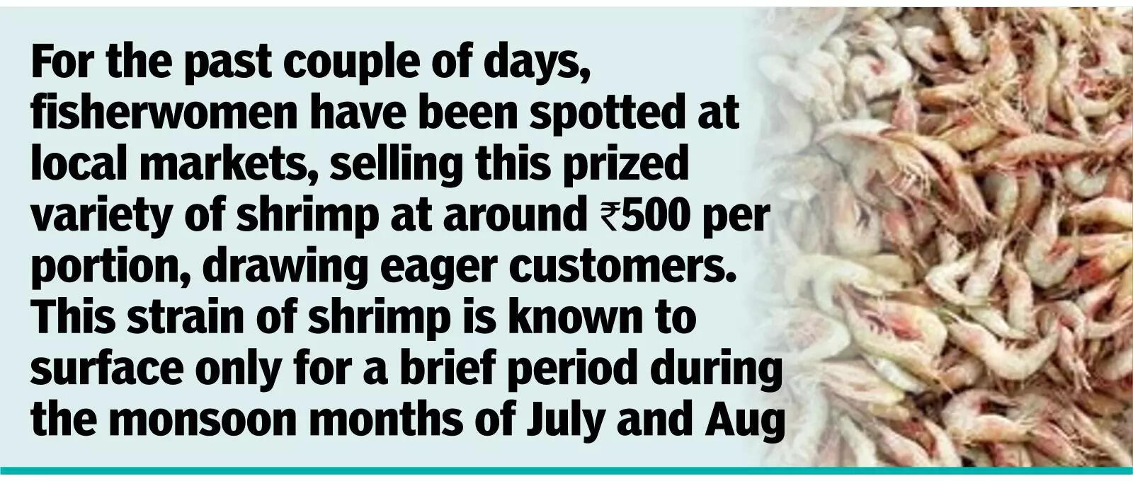 Solar shrimp brightens prospects for Salcete’s traditional fisherfolk