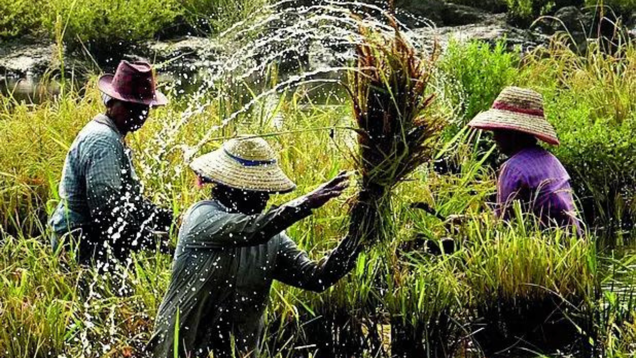 Cabinet clears budget scheme of Rs 24,000 crore for 100 agricultural districts​