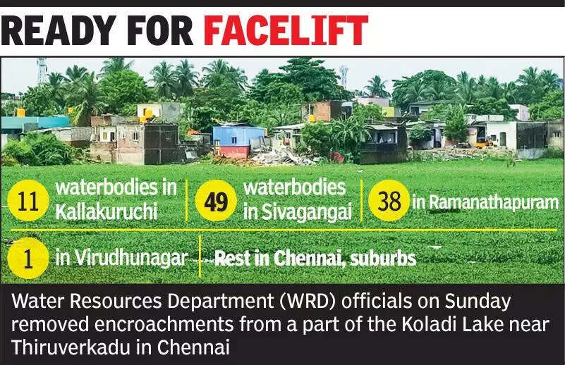 WRD to restore 100 waterbodies in TN; Centre to tag them ‘encroachment-free’