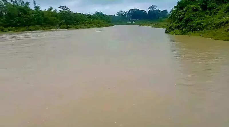 Jorhat bans swimming, bathing across 68 spots after drowning incidents