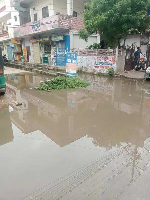 msid 122674319,imgsize 55382 https://jaipur.visitinrajasthan.com/wp-content/uploads/2023/10/cropped-cropped-R-2.png