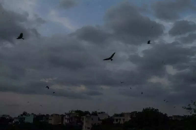 Rain brings relief from humidity in Gurgaon, heavy showers likely after 3 days