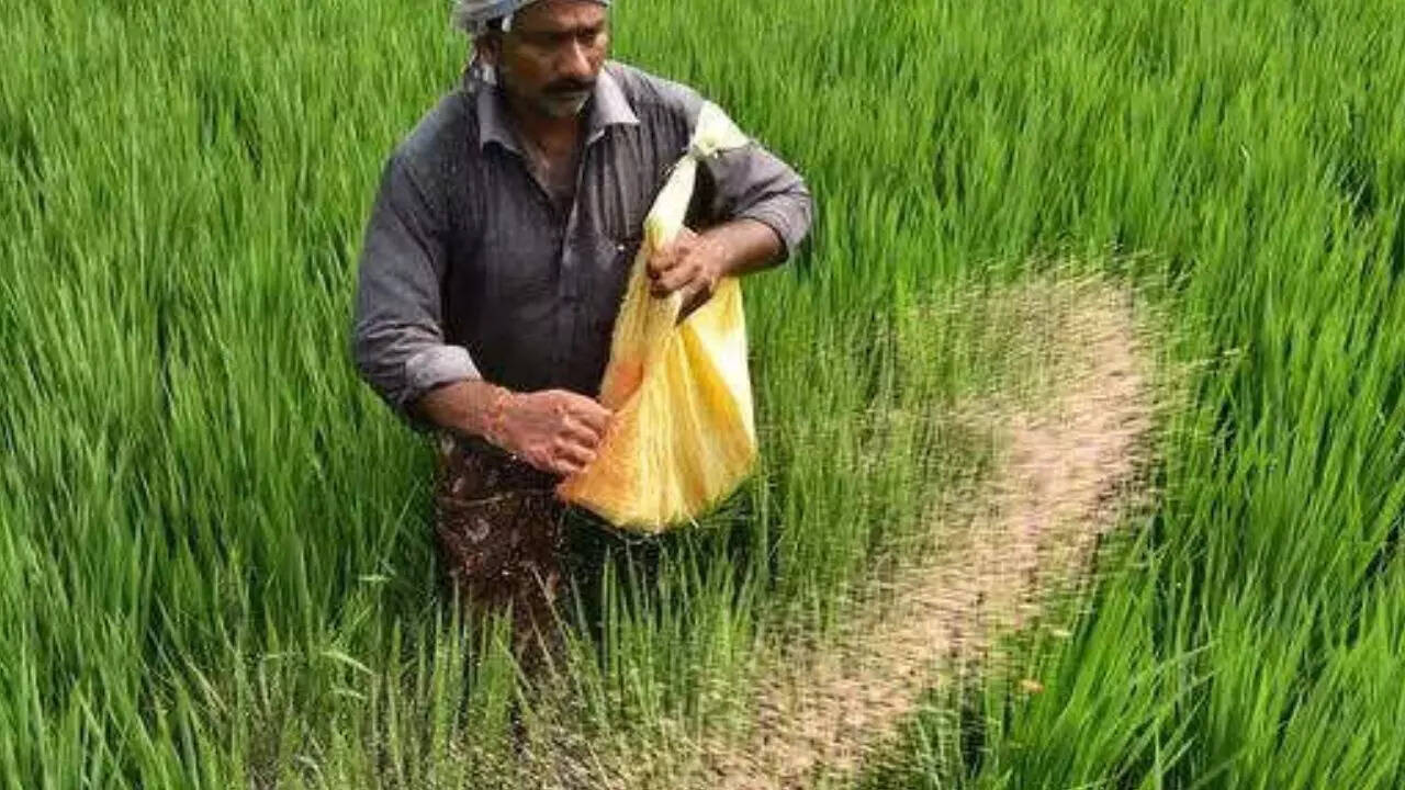 Urea rush in Parkal: Shortage rumours trigger panic; officials assure adequate stock