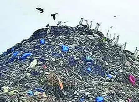 Gasification plant for solid waste at Sonsoddo on cards