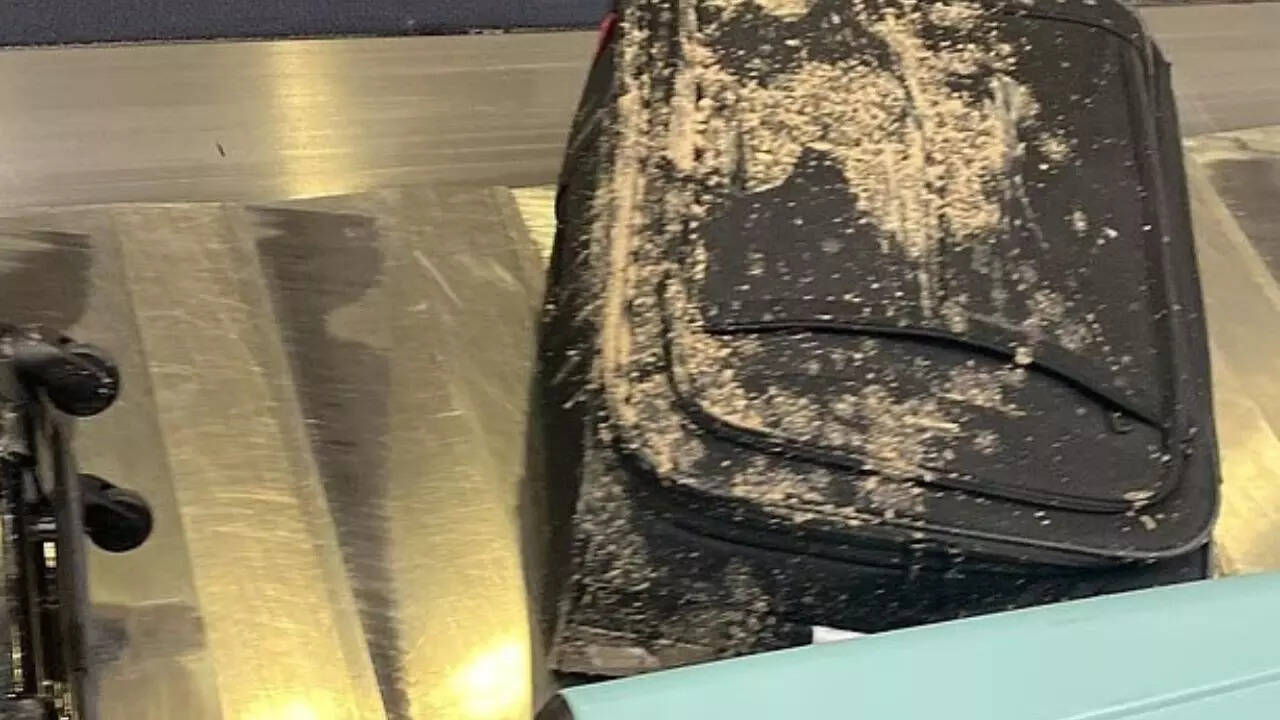 Luggage covered in poop? Virgin Atlantic says it did not come from plane, it's not human excrement