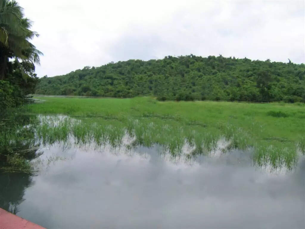 20k sqm Pilerne hill conversion risks landslides, threatens lake