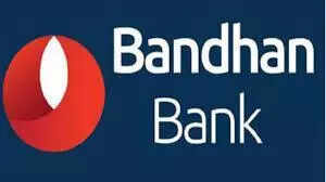 Bandhan Q1 FY 26 net slumps 65% over microfin asset stress